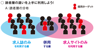 読者層の違いを上手に利用しよう！ A：読者層の分布